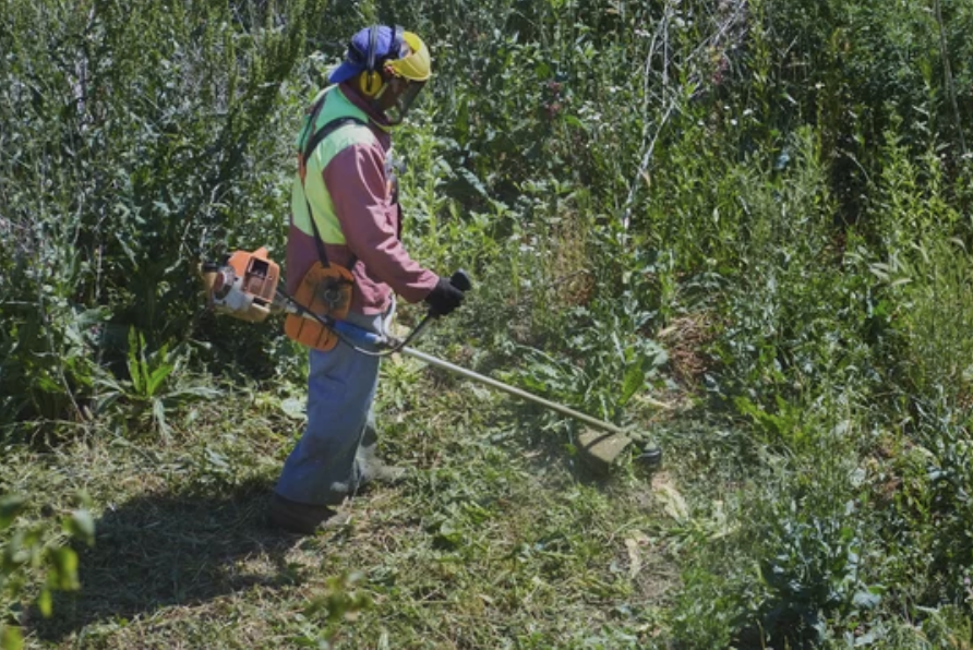 Overgrown Grass Trimming Services