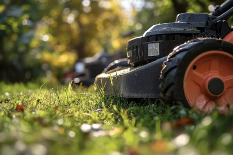 Grass Cutting Ilford