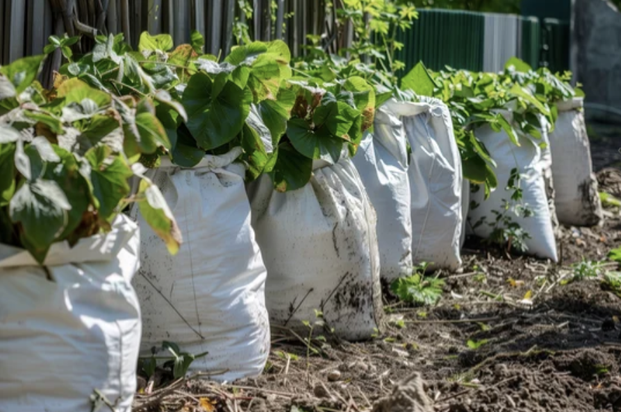 Garden Waste Removal Ilford
